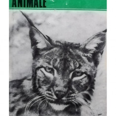 Ionel Pop - Intalniri cu animale (semnata) (editia 1972)