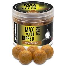 Haldorado - Boilies-uri Max Motion Boilie Dipped 20mm, 80g - Aluna spaniola