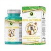 ROYAL LACTOIMUN 60CPS, Hypericum