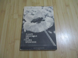 CONSTANTINESCU CORNELIU--PLANTE MEDICINALE DIN FLORA SPONTANA - 1967