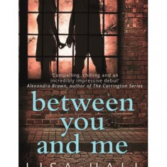 Between You and Me : A Psychological Thriller with a Twist You Won't See Coming - Paperback brosat - Lisa Hall - Harper Collins Publishers Ltd.