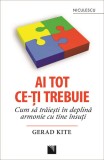Ai tot ce-ti trebuie. Cum sa traiesti in deplina armonie cu tine insuti - Niculescu