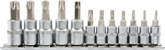 Set 12 biti Torx canelate YATO