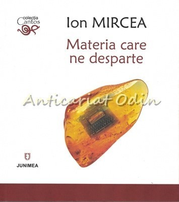 Materia Care Ne Desparte - Ion Mircea foto