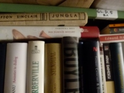 Jungla -U. SINCLAIR foto