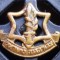 I.456 INSIGNA MILITARA ISRAEL IDF ZAHAL