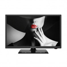 Televizor Horizon DIAMANT LED 22HL4300F/A 55cm Full HD Black foto