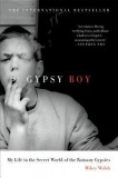 Gypsy Boy: My Life in the Secret World of the Romany Gypsies