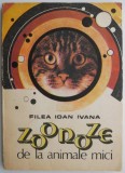 Zoonoze de la animale mici - Filea Ioan Ivana - Carte Biologie, Ghid Canin
