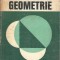Geometrie - Edwin E. Moise, Floyd L. Downs