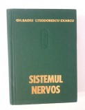 Medicina Gheorghe Badiu Sistemul nervos