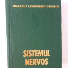 Medicina Gheorghe Badiu Sistemul nervos