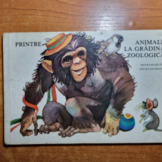 carte cartonata pentru copii - animale la gradina zoologica - din anul 1986