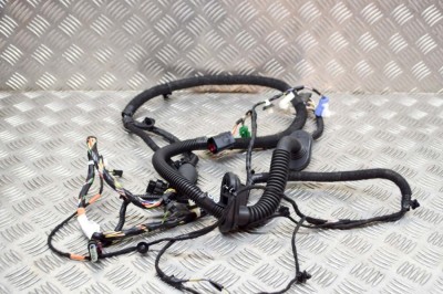 Cablaj ușă dreapta față TESLA MODEL Y 2020 OEM: 1489052-00-C 13587331 foto