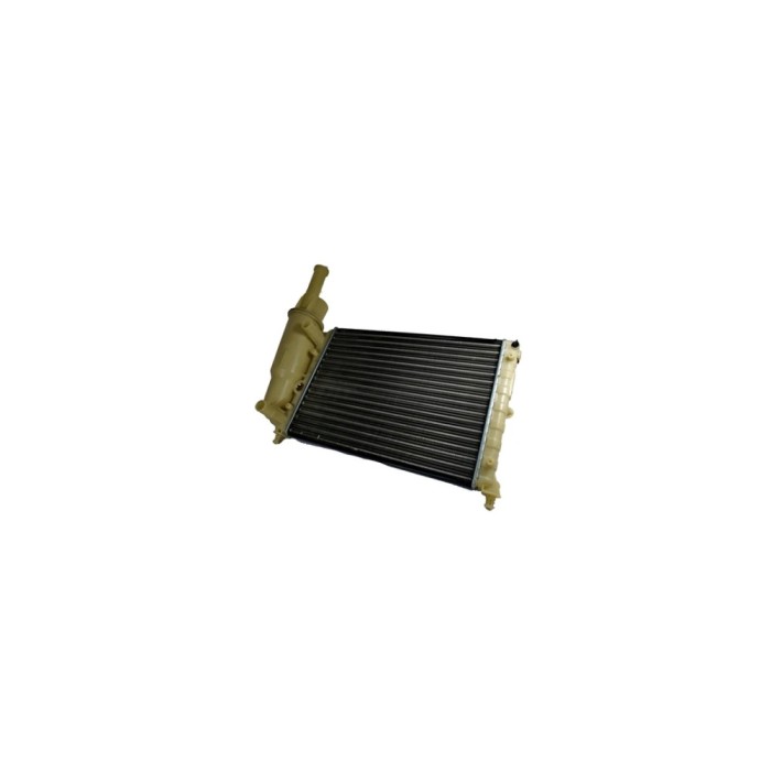 Radiator Apa Fiat Punto Cabriolet 176C Denso Drm09095