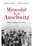 Miracolul de la Auschwitz. Băieții evadați din infern, Corint
