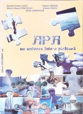 APA UN UNIVERS INTR-O PICATURA-D.P. ILUCA, V. ANGHEL SI COLAB.-281626 foto