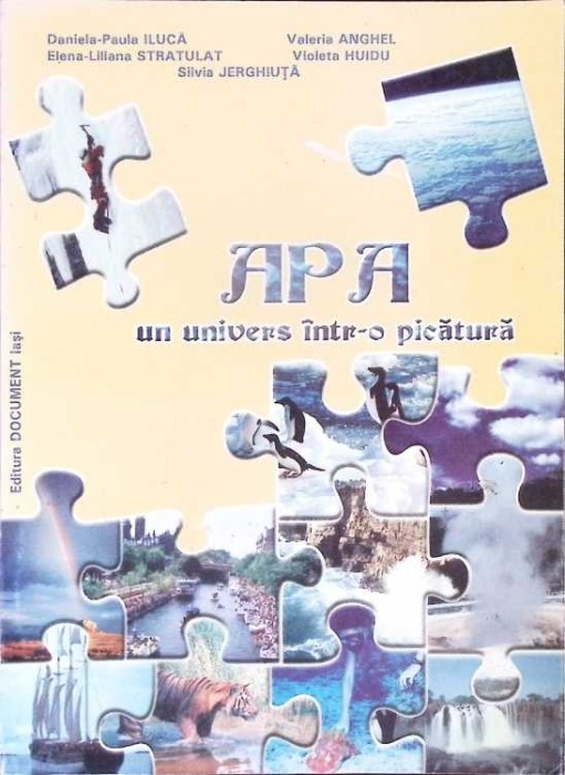 APA UN UNIVERS INTR-O PICATURA-D.P. ILUCA, V. ANGHEL SI COLAB.-281626