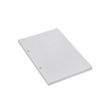Rezerva caiet mecanic A5 cu 2 inele, liniatura matematica, 100 file
