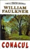 Conacul William Faulkner Editura Orizonturi 1999 Carti Beletristica Romane Stare Buna
