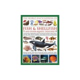 The Illlustrated Encyclopedia of Fish &amp; Shellfish of the World: A Natural History Identification Guide to the Diverse Animal Life of Deep Oceans, Open