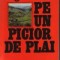 Pe un picior de plai...
