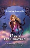 Cumpara ieftin Cheia alchimistului. Si daca intr-o buna zi descoperi ca tatal tau este un mag?/Cristina Brambilla, Rao