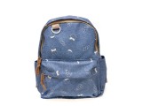 Rucsac FLAVIA PASSINI albastru, 3141, din material textil