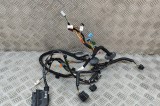 Cablaj ușă dreapta față ASTON MARTIN DB11 2022 OEM: KY53-14631-CB 25908828