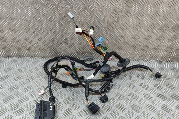Cablaj ușă dreapta față ASTON MARTIN DB11 2022 OEM: KY53-14631-CB 25908828