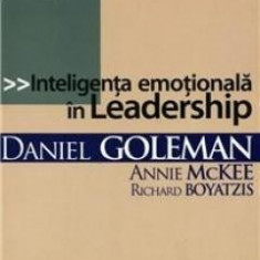 Inteligenta Emotionala In Leadership DANIEL GOLEMAN, R. BOYATZIS, ANNIE MCKEE