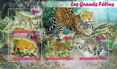 MALI 2023 - Feline mari / set complet-colite + bloc (4 img) foto