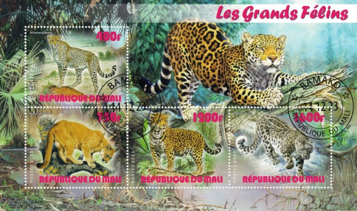 MALI 2023 - Feline mari / set complet-colite + bloc (4 img)