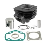 Cumpara ieftin Set motor Peugeot Buxy - Elyseo - Speedake - Speedfight - Trekker - Vivacity - X-Race 2T AC 70cc D47mm bolt 12 (RMS)