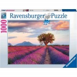 Cumpara ieftin Puzzle Camp De Lavanda, 1000 Piese, Ravensburger