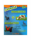 Animale domestice și sălbatice 3+. Carte de colorat cu abțibilduri - Paperback brosat - Cristina Stroescu - Trend