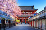 Cumpara ieftin Fototapet autocolant Flori153 Templu japonez cu ciresi infloriti, 250 x 200 cm