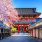 Fototapet Flori153 Templu japonez cu ciresi infloriti, 300 x 200 cm