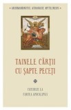 Tainele cartii cu sapte peceti - Arhimandrit Athanasie Mytilineos