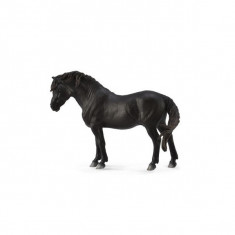 Ponei Negru Dartmoor L - Animal figurina