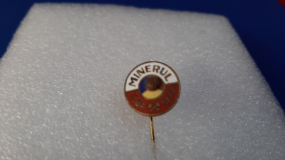 insigna Minerul Ilba Seini foto