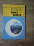 EXCURSII IN MUNTII FAGARASULUI de E. PUSCARU SOROCEANU , DUMITRU PUSCARU , Bucuresti 1971