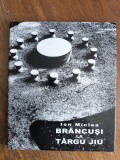 Brancusi la Targu Jiu - Ion Miclea / R2P4F