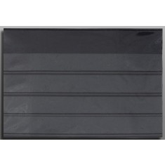 Carton expunere timbre 158x113mm, negru, 4 randuri, folie de protectie