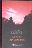 Nebunul din Bergerac - Georges Simenon, Polirom 2004, Maigret, Carte Politista Romana