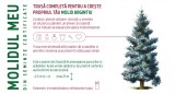 Cumpara ieftin Trusa completa pentru a creste propriul tau - Molid argintiu | Monora