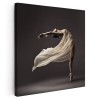 Tablou balerina dansand 1706 Tablou canvas pe panza CU RAMA 80x80 cm