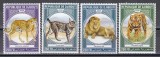 Djibouti 2020 - Feline mari, MNH