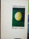 Gabriel Liiceanu - Despre limita (editia 1994)