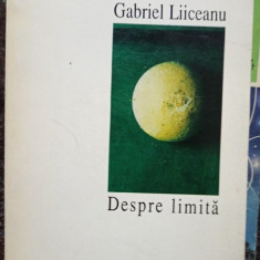 Gabriel Liiceanu - Despre limita (editia 1994)